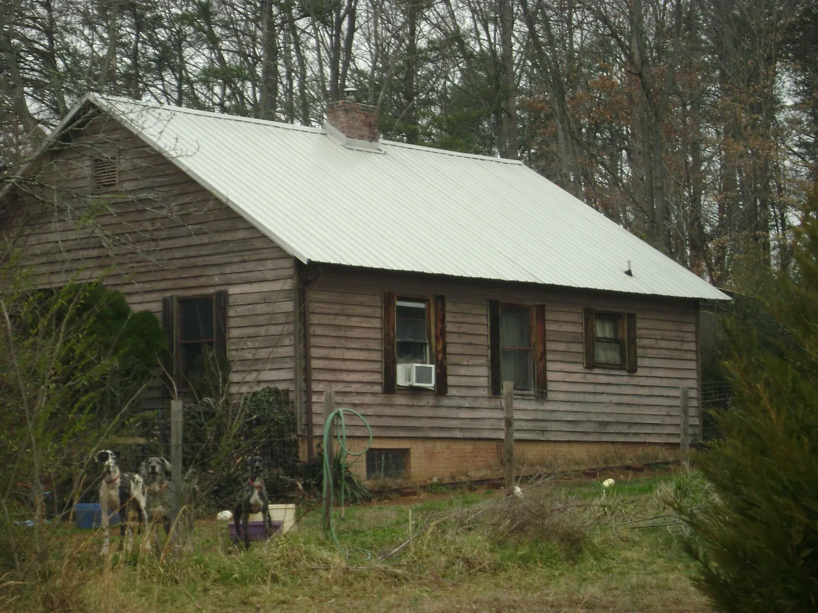White metal roof on an old wood sided farmhouse, from a Asphalt Shingle Roof Repair job in Orland